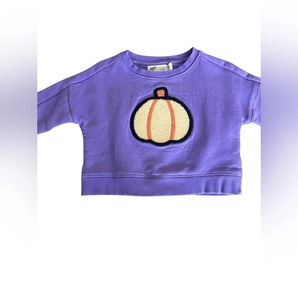Monica + Andy Purple Sweatshirt with Pumpkin Patch size 12-18m